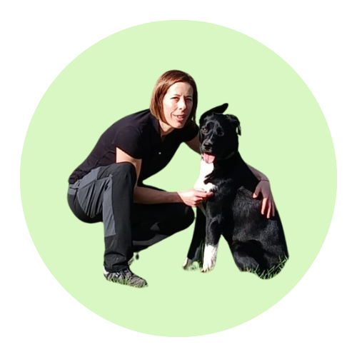 educateur-comportementaliste-canin-eure-bernay