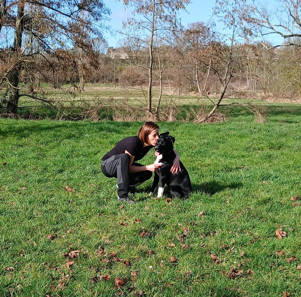 educateur canin à bernay, séances education canine et troubles du comportement du chien dans l'eure, educateur comportementaliste canin à bernay