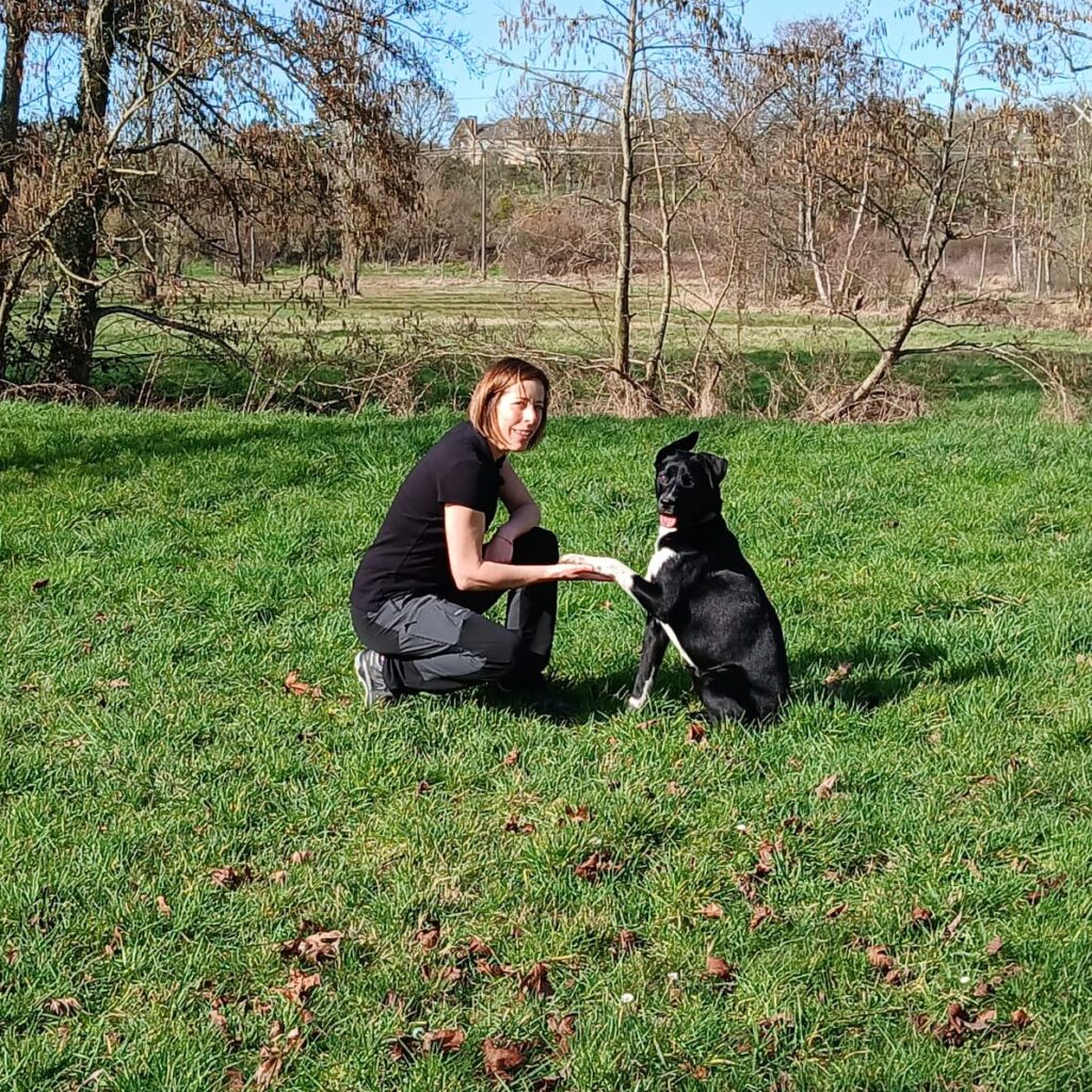 CaniDuo educateur comportementaliste canin à Bernay séance d'éducation canine à bernay, brionne, le neubourg, mesnil-en-ouche et dans l'Eure